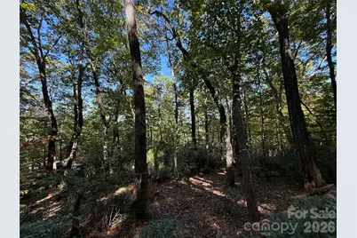 Lot 81 - R Kenmure Drive, Flat Rock, NC 28731 - Photo 19