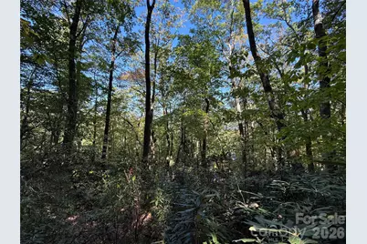 Lot 81 - R Kenmure Drive, Flat Rock, NC 28731 - Photo 23