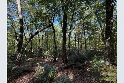 Lot 81 - R Kenmure Drive, Flat Rock, NC 28731 - Photo 27