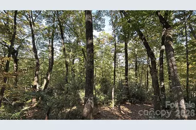 Lot 81 - R Kenmure Drive, Flat Rock, NC 28731 - Photo 29