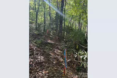 Lot 81 - R Kenmure Drive, Flat Rock, NC 28731 - Photo 7