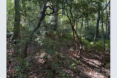 Lot 81 - R Kenmure Drive, Flat Rock, NC 28731 - Photo 11