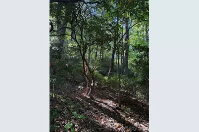 Lot 81 - R Kenmure Drive, Flat Rock, NC 28731 - Photo 13