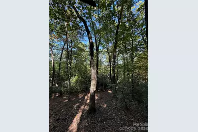 Lot 81 - R Kenmure Drive, Flat Rock, NC 28731 - Photo 15