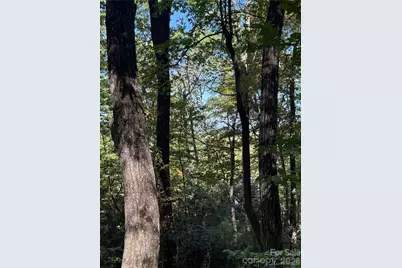 Lot 81 - R Kenmure Drive, Flat Rock, NC 28731 - Photo 17