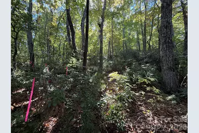 Lot 81 - R Kenmure Drive, Flat Rock, NC 28731 - Photo 31
