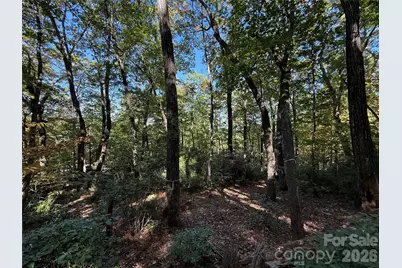 Lot 81 - R Kenmure Drive, Flat Rock, NC 28731 - Photo 21