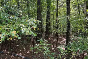 Tbd Sanctuary Ln, Lilesville, NC 28091 - Photo 1
