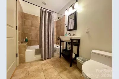5 Walnut Street, Asheville, NC 28801 - Photo 29