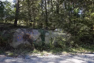000 Parker Road, York, SC 29745 - Photo 1