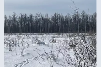 Tbd Highway 73, Fine Lakes Twp, MN 55736 - Photo 1