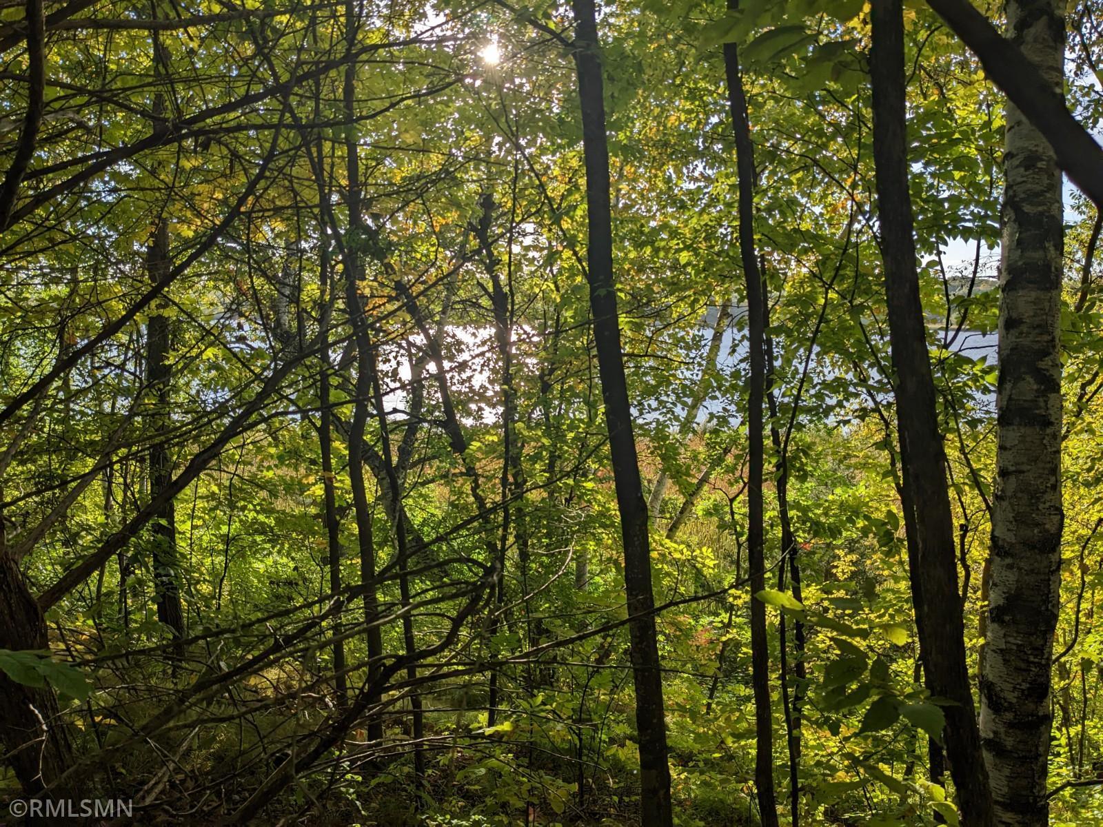 Xxx Empire Trail, Burtrum, MN 56318 MLS 6271431 Coldwell Banker