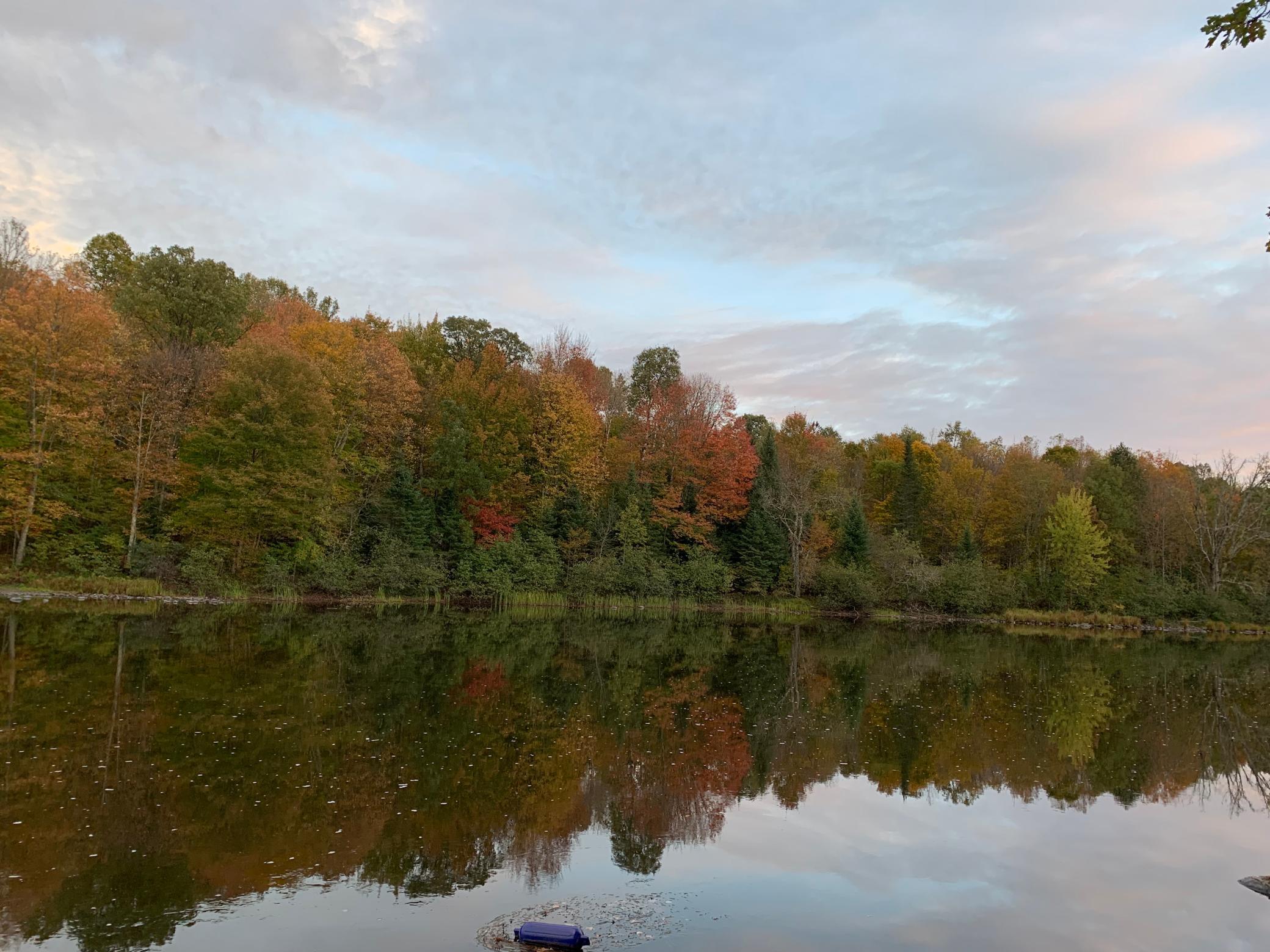 6234 N Dam Rd, Ojibwa Twp, WI 54896 MLS 6273270 Coldwell Banker