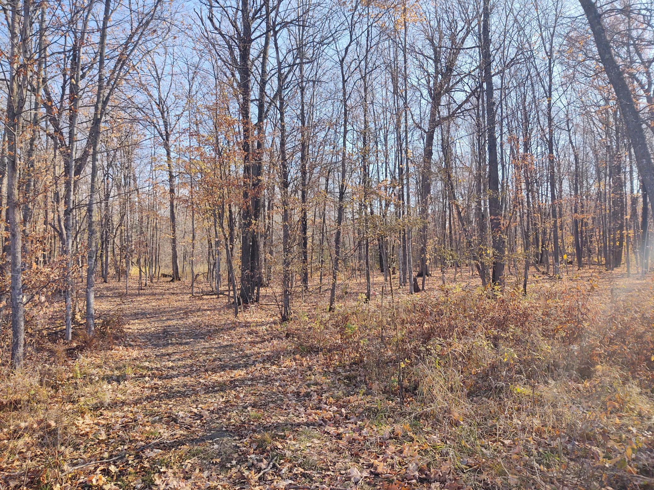 Xx Platte Lake Ln, Hillman, MN 56338 MLS 6300758 Coldwell Banker