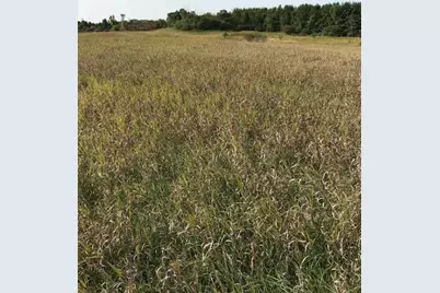 Xxxx Island Estates (Site 6) Drive NW, Pine Island, MN 55963 - Photo 1