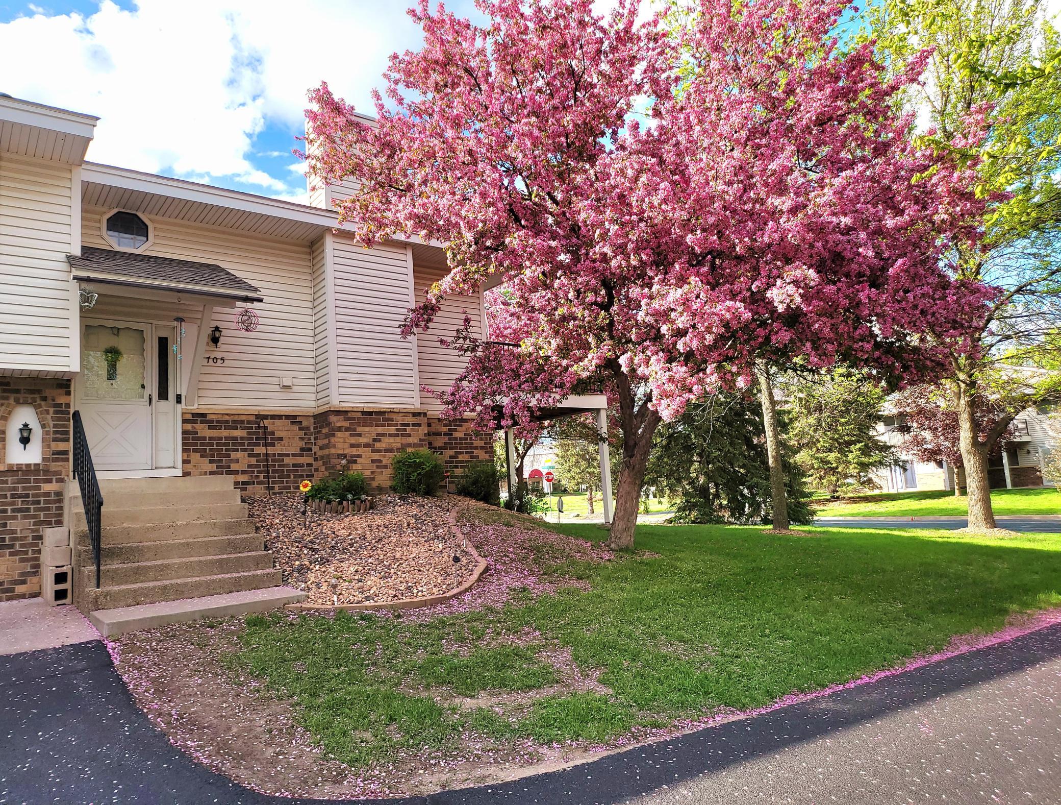 705 Evergreen Ct, Burnsville, MN 55337 MLS 6342838 Coldwell Banker