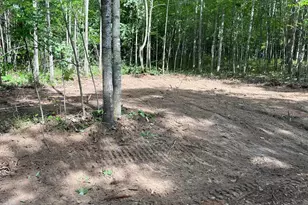 Xxxx Kielkucki Trail Lot 3, Webb Lake, WI 54830 - Photo 1