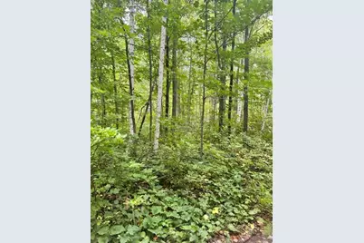 Xxx Chipmunk Pass, Cushing Township, MN 56443 - Photo 1