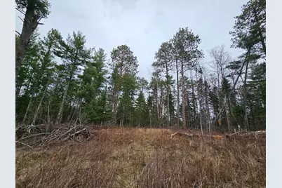 Tbd Forbes Lane, Longville, MN 56655 - Photo 1