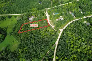 Lot 20 Natures Way, Federal Dam, MN 56641 - Photo 1