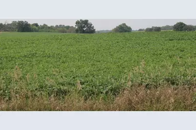 00002 County Rd 14 NE, Spruce Hill Twp, MN 56446 - Photo 1