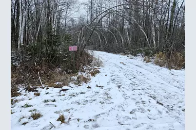 Xxx 2 Fire Lane, Dairyland, WI 54830 - Photo 1