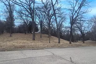 Tbd Pine Street NW, New London, MN 56273 - Photo 1