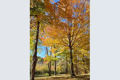 Tbd Fish Trap Lake Drive, Cushing, MN 56473 - Photo 1