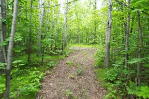 Parcel D Ticonderoga Trail, Hackensack, MN 56452 - Photo 1