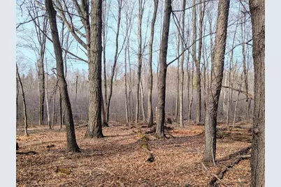 241Xx Thames Street NE, Linwood Township, MN 55079 - Photo 1