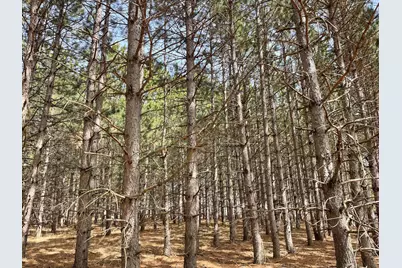 Xxxx Emerald Court NE, Carlos, MN 56319 - Photo 1