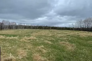 Parcel E Dove Rd, Hinckley, MN 55037 - Photo 1