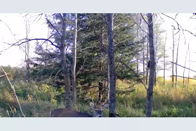 Lot A 316th Street, Clarissa, MN 56440 - Photo 1