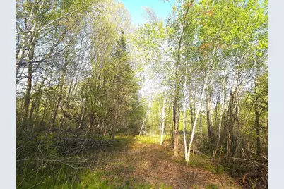 000 Starch Road, Bruno, MN 55712 - Photo 1