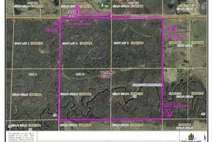 Tbd Cormant Road NE, Kelliher, MN 56650 - Photo 1