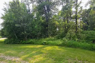 L2 B1 Josh, Pequot Lakes, MN 56472 - Photo 1