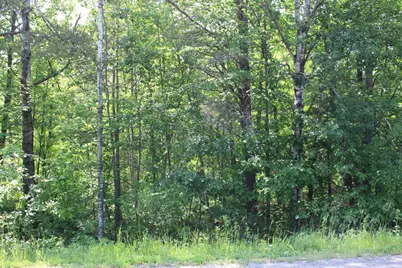 Tbd Centerline Road NW, Solway, MN 56678 - Photo 1