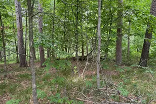 Tbd White Overlook Dr, Breezy Point, MN 56472 - Photo 1