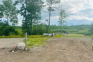 Tbd #29 Lake Ave, Tower, MN 55790 - Photo 1