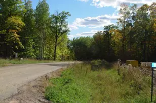 Lot 4 Blk 1 Cascade Ct, Deerwood Township, MN 56444 - Photo 1