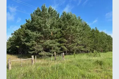 Tbd 380th St, Menahga, MN 56464 - Photo 1