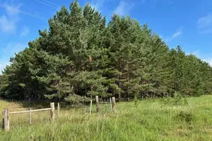 Tbd 380th St, Menahga, MN 56464 - Photo 1