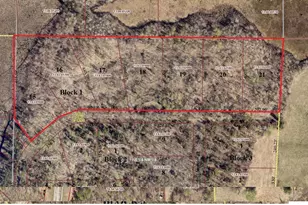 Lots 15-21 Firewood Trail, Park Rapids, MN 56470 - Photo 1