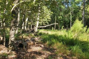 652 Johnson Ridge Rd, Elkin, NC 28621 - Photo 21