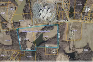 6110 & 6146 Bethel Church Rd, Gibsonville, NC 27249 - Photo 3