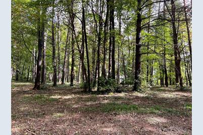 00 Jackson Road #8.64 Ac, Mount Airy, NC 27030 - Photo 11