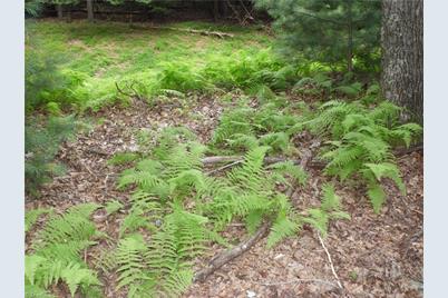 Tbd Longview Circle, Roaring Gap, NC 28627 - Photo 9