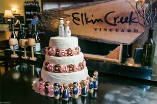 318 Elkin Creek Mill Rd, Elkin, NC 28621 - Photo 47