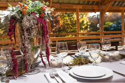 318 Elkin Creek Mill Road, Elkin, NC 28621 - Photo 49