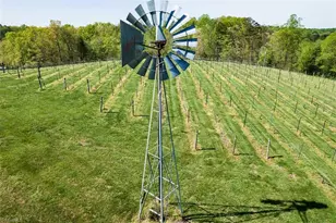 318 Elkin Creek Mill Rd, Elkin, NC 28621 - Photo 33